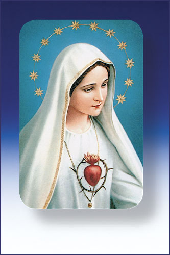 2 in x 3 in Our Lady of The Rosary Plastic Holy Card