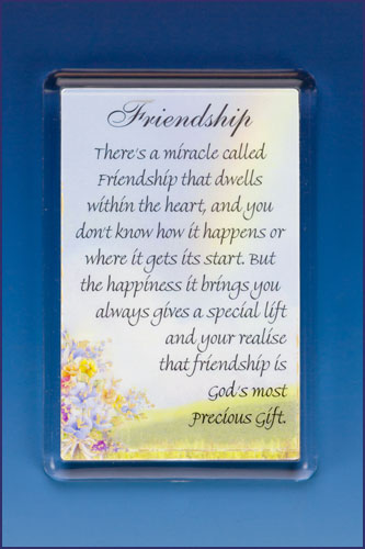 FRIENDSHIP PHOTO FRAME MAGNET